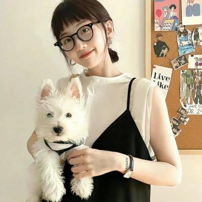 绝对舞力